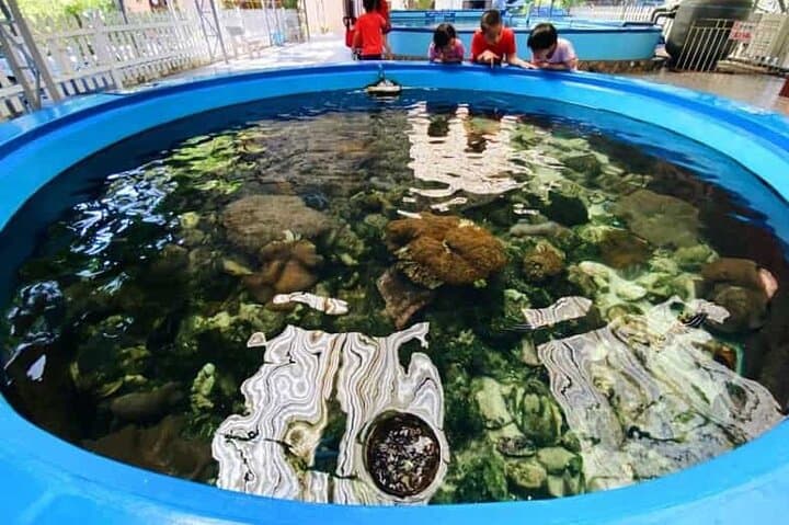 Half-Day Nha Trang City Tour: Oceanography Museum, Hon Chong & Po Nagar photo 4