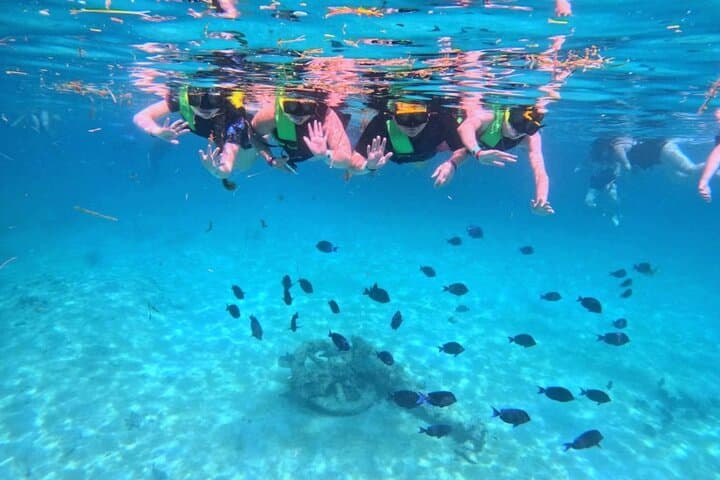 Akumal Bay Turtle Snorkel + GoPro Photo Session photo 6