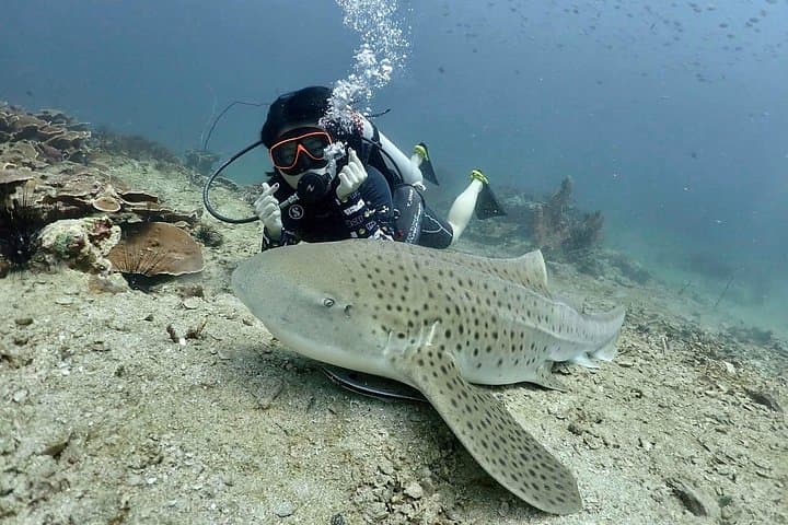 Phuket Scuba Diving Adventure to the Racha Islands with Hotel Transfer photo 3