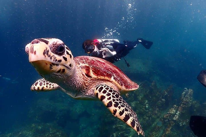 Phuket Scuba Diving Adventure to the Racha Islands with Hotel Transfer photo 4