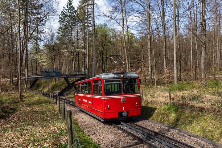 Ride Zurich: Cogwheel Peaks, Historic Funiculars & Lake Cruises photo 4