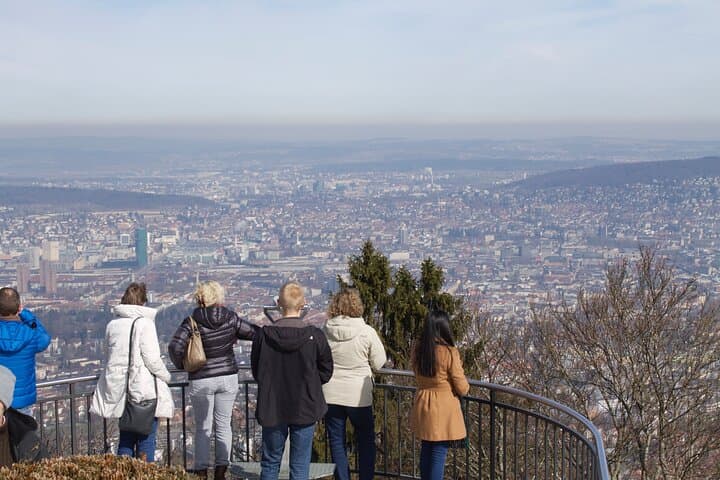 Ride Zurich: Cogwheel Peaks, Historic Funiculars & Lake Cruises photo 6