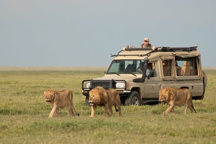 4-Day Camping Safari: Tarangire, Serengeti & Ngorongoro Crater photo 2
