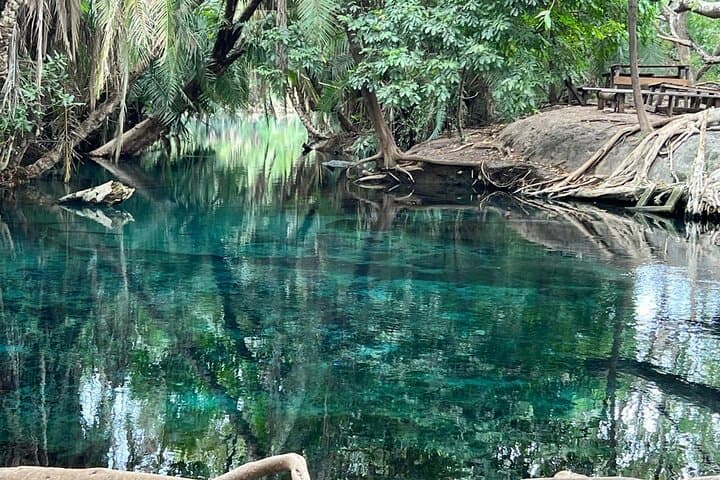 Materuni Waterfalls, Chagga Coffee Experience and Chemka Hot Springs — Day Trip from Moshi photo 3
