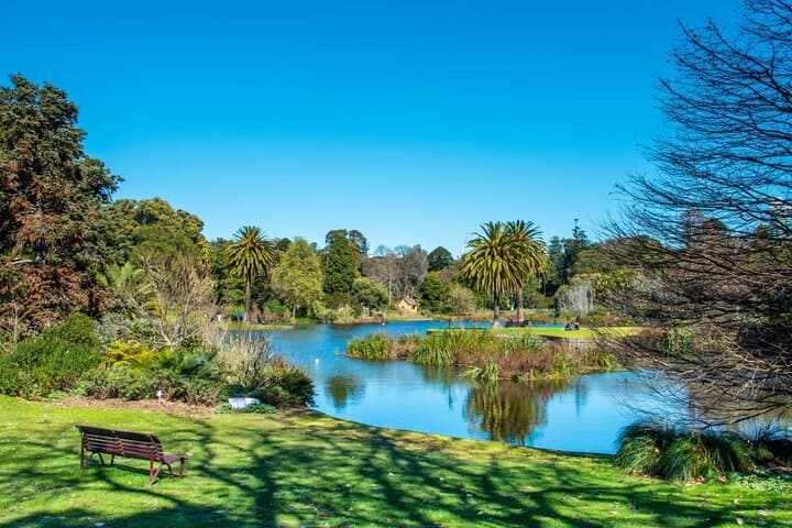 Yarra River Nature Trail Walk — Melbourne Urban Riverside Stroll photo 2