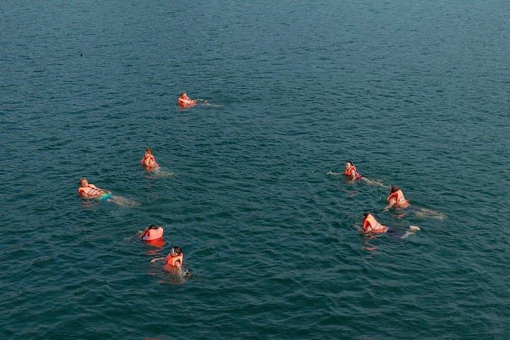 JadeSails Luxury Day Cruise: Halong Bay & Lan Ha Bay Day Trip from Hanoi photo 3