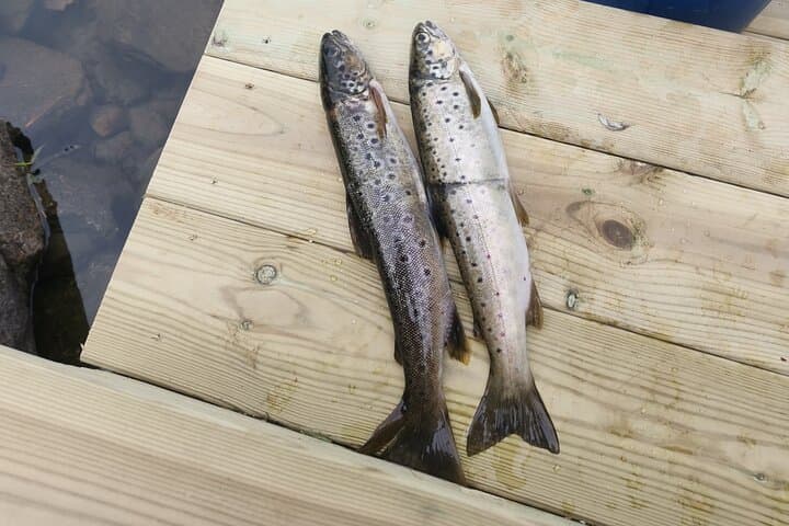 Aksdalsvannet Trout Fishing: Private Linder Boat Rental on Norway's Quiet Lake photo 5