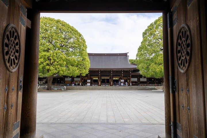 best-of-tokyo-small-group-day-tour-guide photo 3