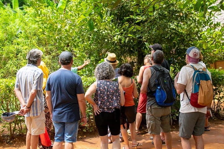 Zanzibar Spice Tour & Cooking Class — Hands-On Flavors of Unguja photo 1