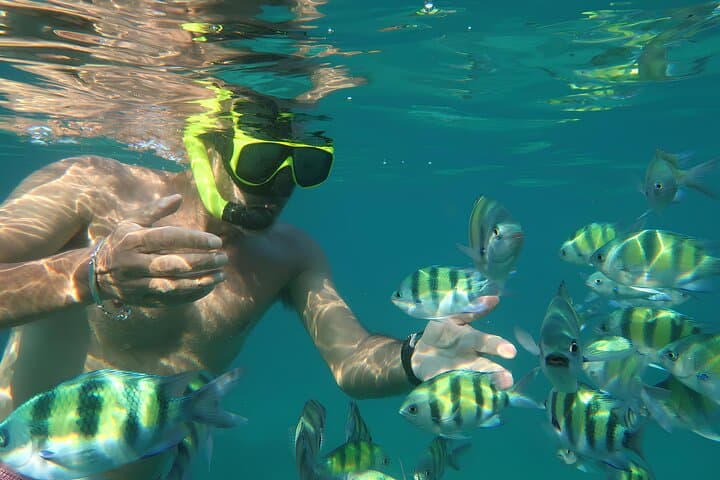 Phuket 3 Khai Islands Speedboat Snorkeling: Half- or Full-Day Trip from Phuket photo 4
