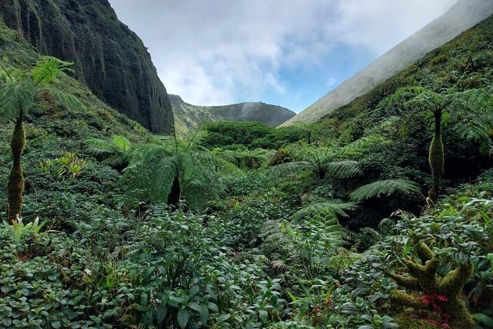 Climb Mount Pelée: An Immersive Volcano Hike in Martinique photo 5