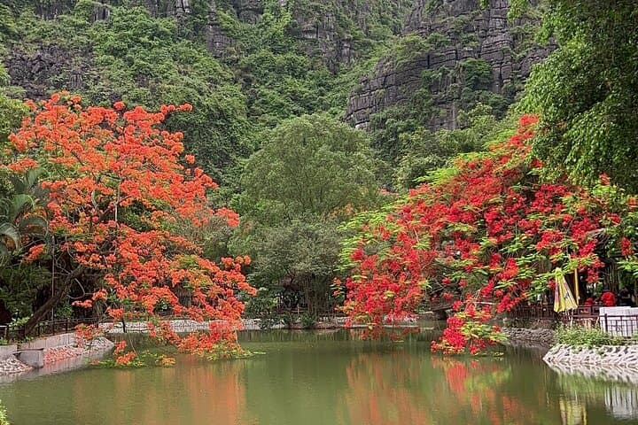 Day Trip from Hanoi to Ninh Binh: Bai Dinh, Trang An & Mua Cave photo 3