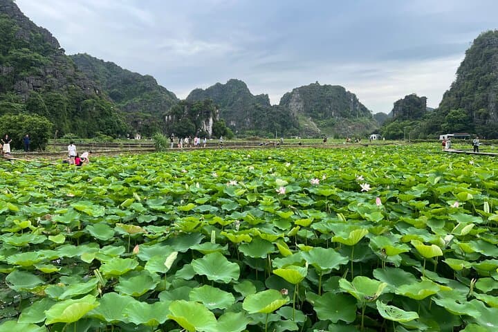 Day Trip from Hanoi to Ninh Binh: Bai Dinh, Trang An & Mua Cave photo 5