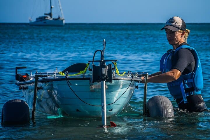 Transparent Electric Kayak Tour — Southern Fuerteventura Coast photo 4