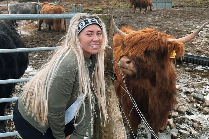 Private Day Tour from Edinburgh to Glencoe, Loch Lomond & Highland Cows photo 3