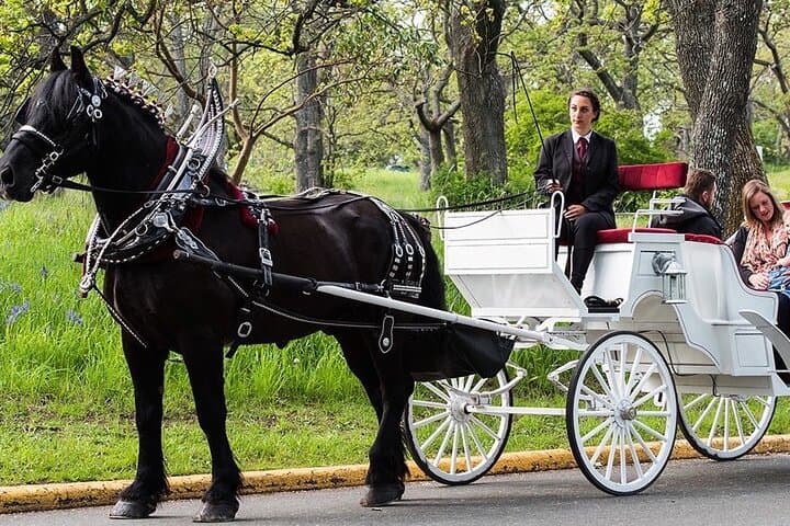 Central Park Private Horse Carriage Ride: Classic 40-Minute Tour in NYC