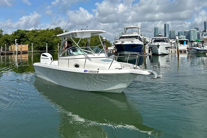 Private Biscayne National Park Charter from Key Biscayne — Sandbars, Snorkel & Stiltsville photo 5
