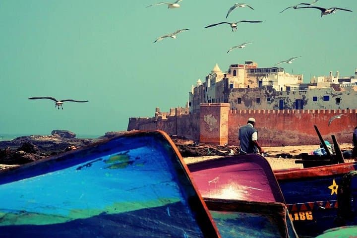Essaouira Day Trip from Agadir — Explore the Medina, Ramparts & Argan Cooperatives photo 4