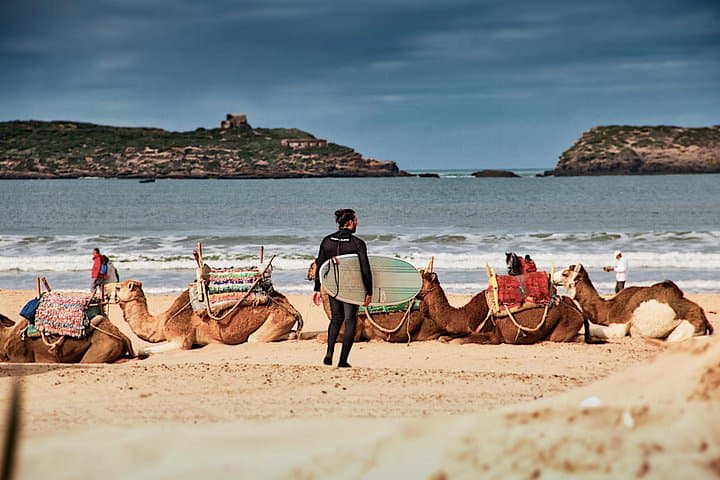 Essaouira Day Trip from Agadir — Explore the Medina, Ramparts & Argan Cooperatives photo 6