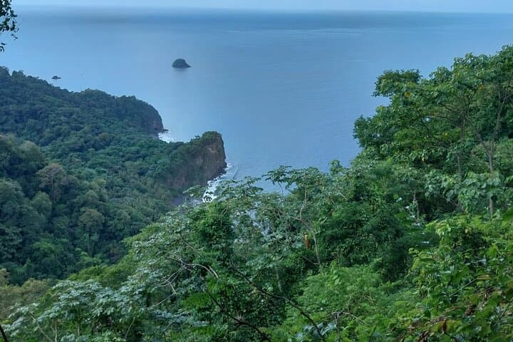 Wild Immersion: Rainforest Hike to Waterfall and Black Sand Beach in Martinique