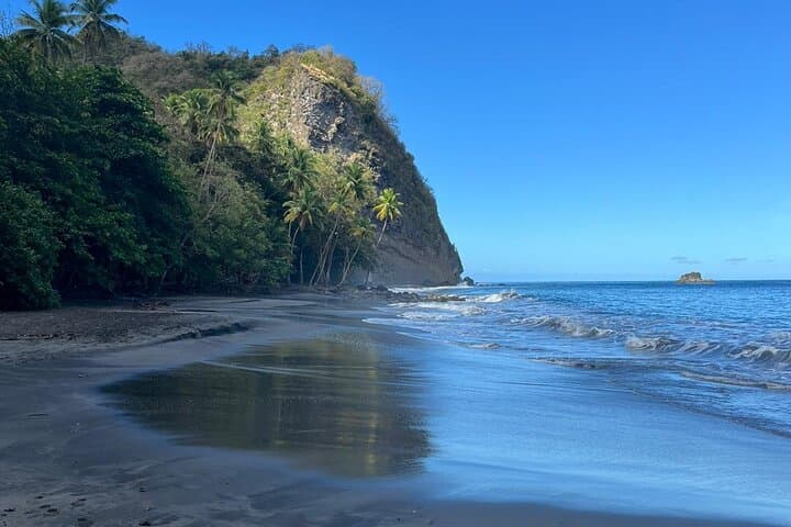 Wild Immersion: Rainforest Hike to Waterfall and Black Sand Beach in Martinique photo 3