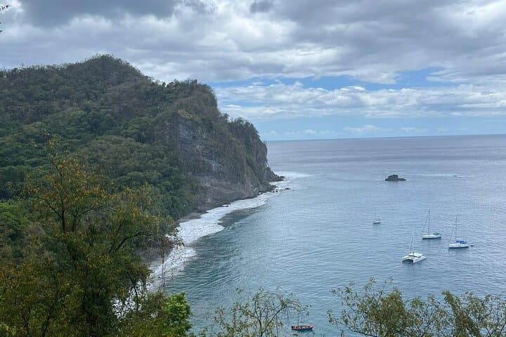 Wild Immersion: Rainforest Hike to Waterfall and Black Sand Beach in Martinique photo 6
