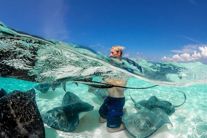 Cayman 3-in-1: Stingray City and Barrier Reef Snorkel Combo photo 4