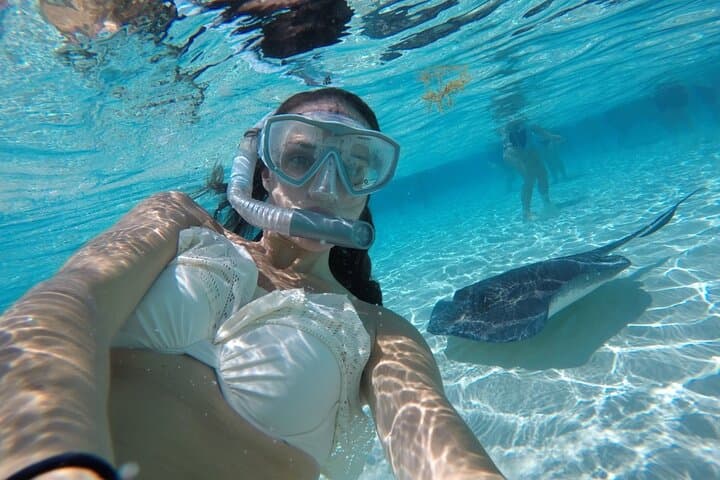 Stingray City and Two Reef Snorkeling Grand Cayman Adventure photo 2