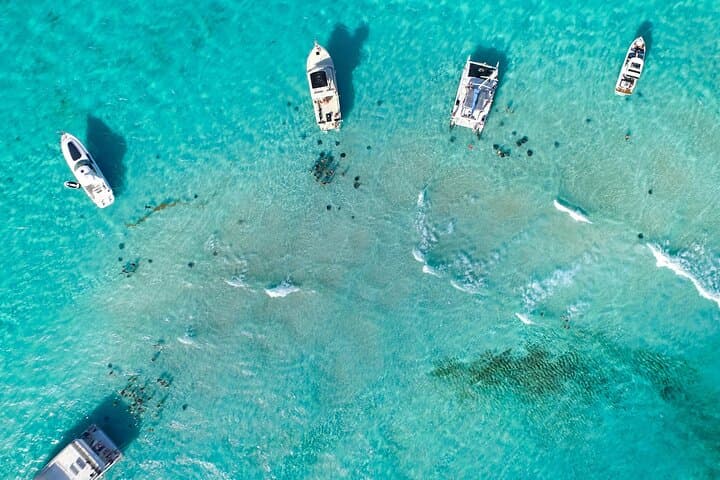 Stingray City and Two Reef Snorkeling Grand Cayman Adventure photo 3