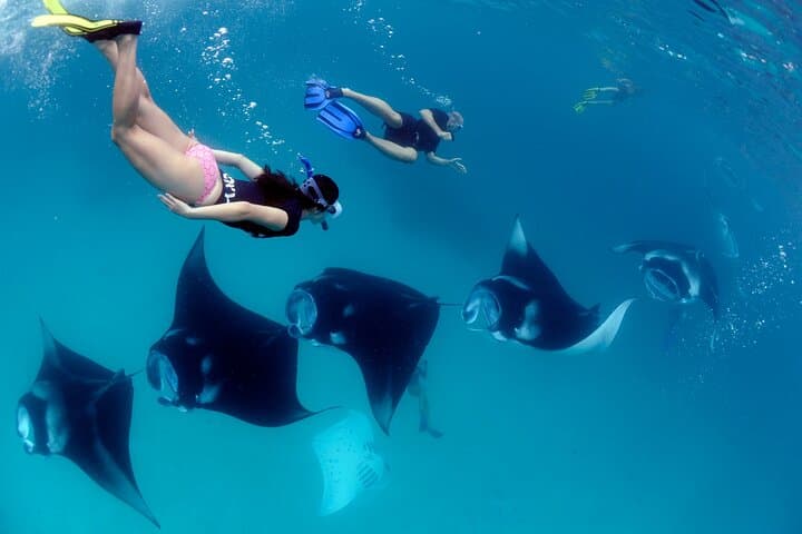 Nusa Penida Snorkeling & Island Highlights — Mantas, Kelingking and Angel's Billabong photo 3
