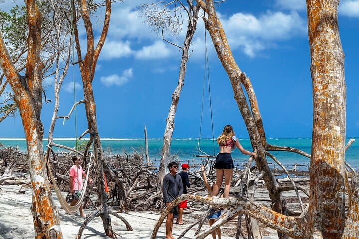Private Buggy Tour of Jericoacoara’s West Coast: Guriú, Dunes & Lagoon Lunch photo 3