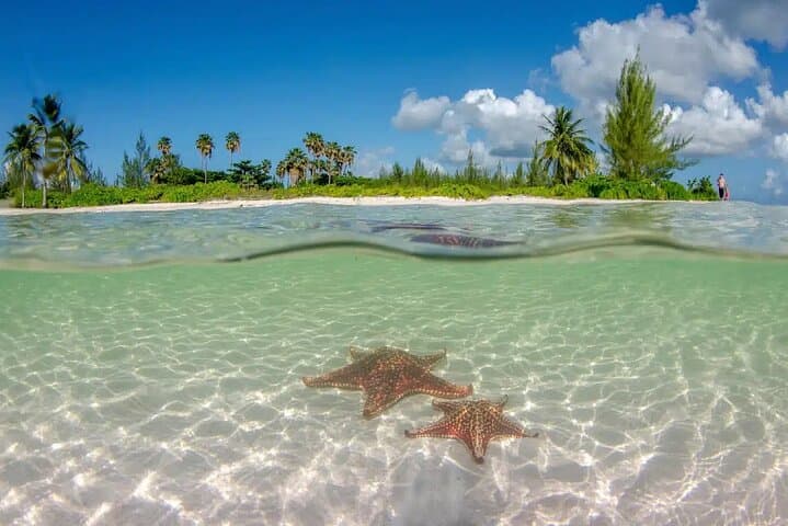 Cayman Combo Tour: Stingray City, Coral Gardens & Starfish Point Catamaran Snorkel photo 6
