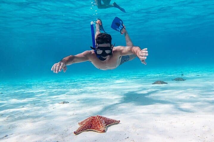 Cayman Combo Tour: Stingray City, Coral Gardens & Starfish Point Catamaran Snorkel