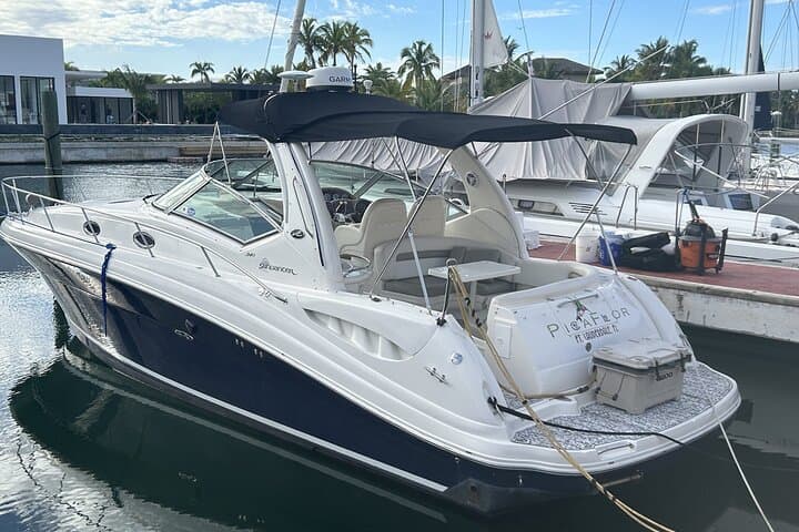 Private Yacht Charter in Bavaro: Snorkel, Dolphins & Natural Pool Escape photo 2