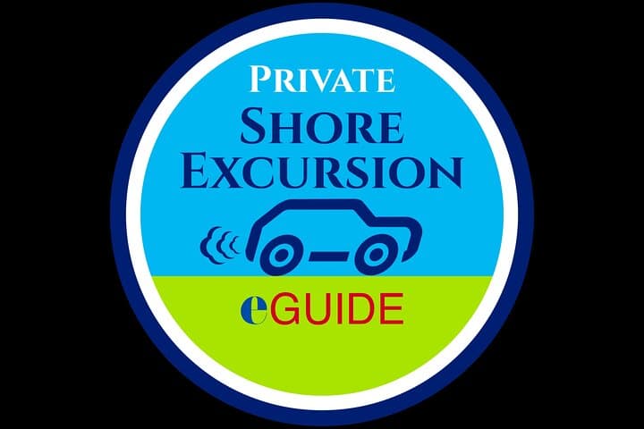 Private Hobart Shore Excursion: Mt Wellington, Richmond & Russell Falls Day Tour