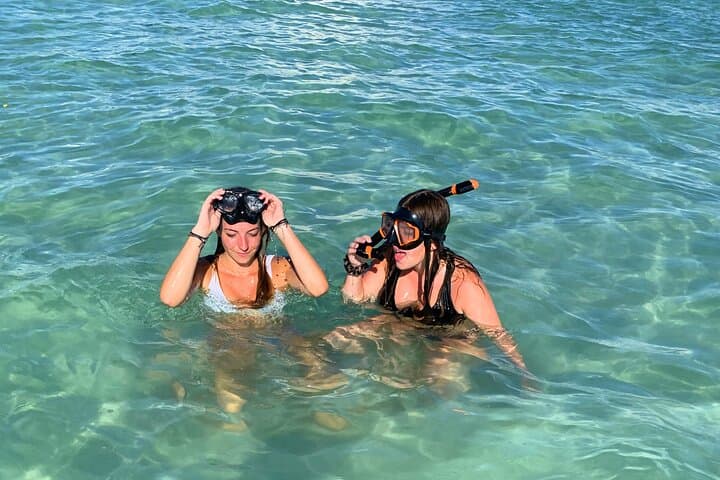 Private Passage Key Sandbar Tour from Anna Maria Island — 2-Hour Boat Experience photo 1