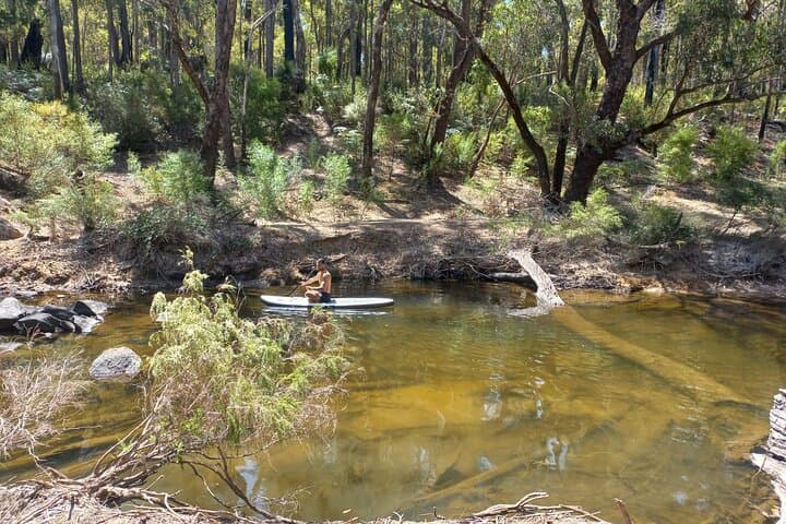 Overnight Private Yurt Getaway Near Lane Poole Reserve photo 5