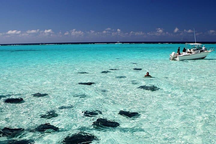 Stingray City and Reef Snorkeling — Grand Cayman Day Cruise photo 1