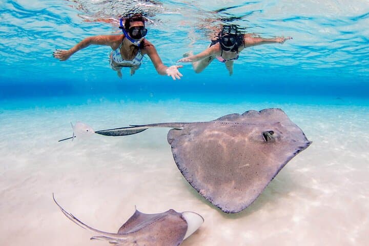Cayman Combo Tour: Stingrays, Starfish Point & Crystal Caves from Seven Mile Beach photo 5