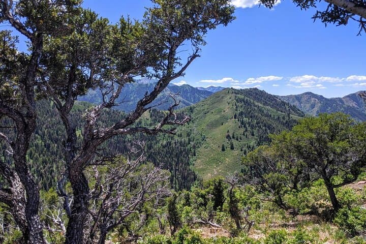 Guided Park City Hike on Summit Park Trails: Mountain Views & Local Insight
