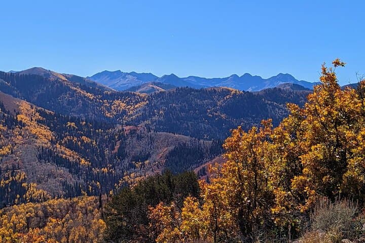 Guided Park City Hike on Summit Park Trails: Mountain Views & Local Insight photo 3