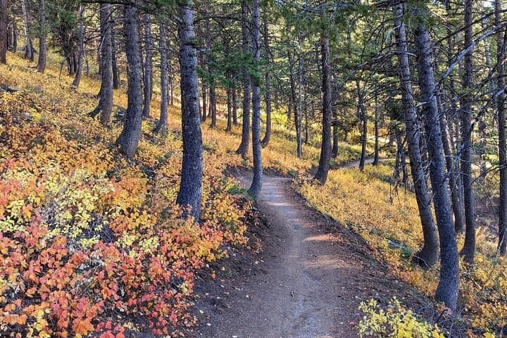 Guided Park City Hike on Summit Park Trails: Mountain Views & Local Insight photo 4