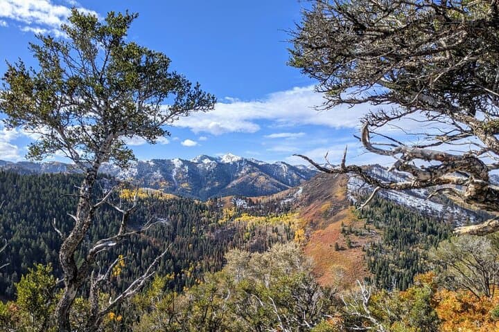 Guided Park City Hike on Summit Park Trails: Mountain Views & Local Insight photo 6