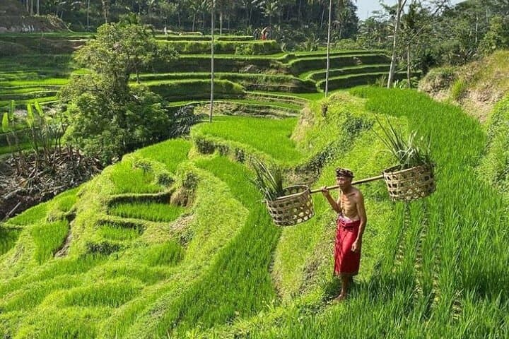 ubud-bali-swing-monkey-forest-waterfall-day-tour-guide photo 2