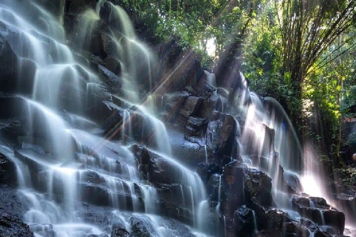 ubud-bali-swing-monkey-forest-waterfall-day-tour-guide photo 5