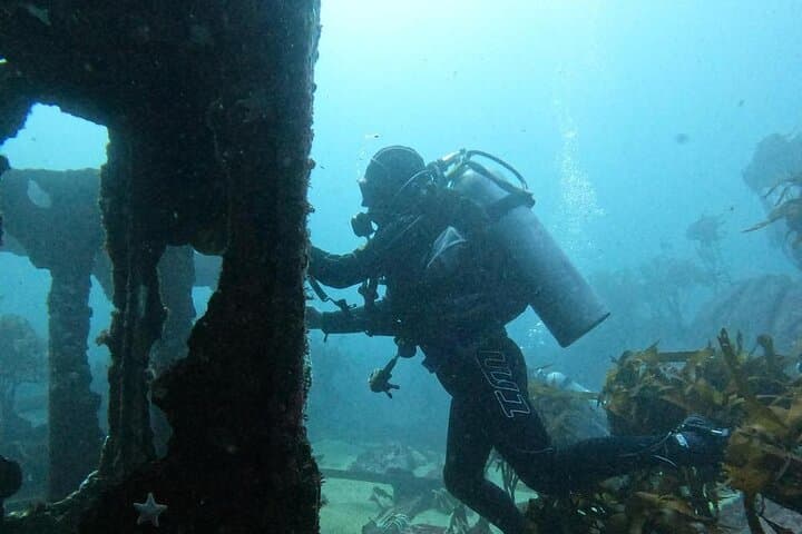 Quintay Scuba Diving Excursion — Beginner-Friendly Dives from Valparaíso photo 4