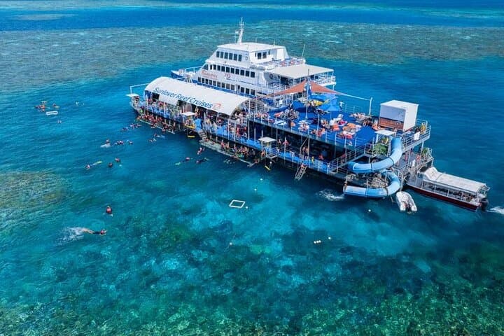 Moore Reef Day Tour: Guided Dive & Pontoon Adventure from Cairns