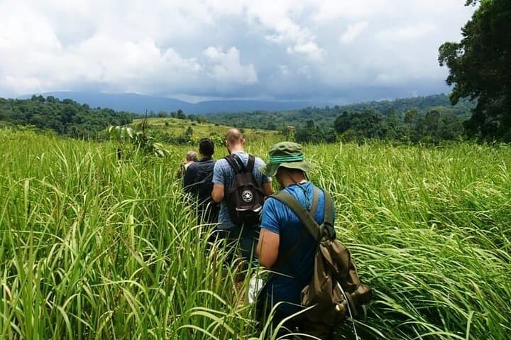Khao Yai Nature Trails & Haew Suwat Waterfall Day Tour from Bangkok