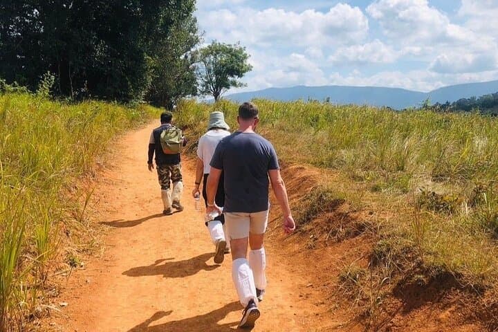 Khao Yai Nature Trails & Haew Suwat Waterfall Day Tour from Bangkok photo 6