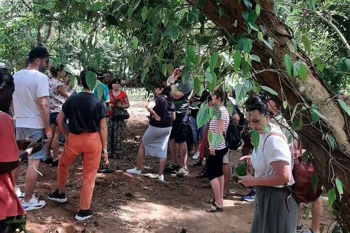 Half-Day Spice Tour in Zanzibar — Kizimbani Farm Walk & Tasting photo 2